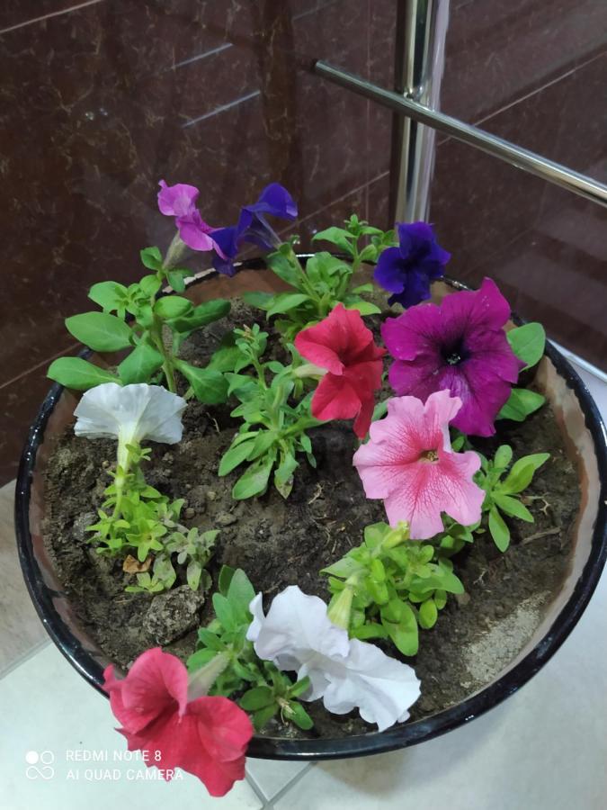 Major Guest House 페르가나 외부 사진